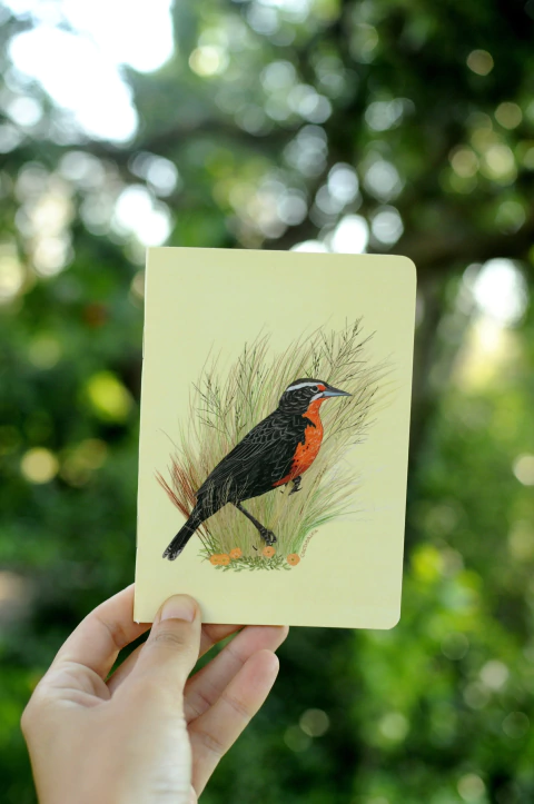 Imagen de LIBRETA 10x15cm AVES ARGENTINAS