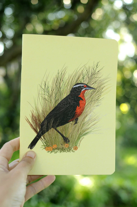 Imagen de LIBRETA 15x21cm AVES ARGENTINAS