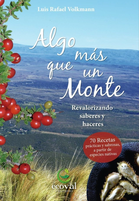 Algo más que un monte