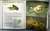 Anfibios de Buenos Aires - comprar online