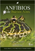 Anfibios de Buenos Aires