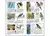 Guía de Identificación AVES de ARGENTINA & URUGUAY - Edición Total - tienda online