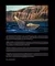 LA PROFUNDIDAD DE LAS BALLENAS en internet