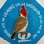 Pin Cardenal Copete Rojo