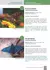 Maravillas Aladas de Argentina - Mariposas de la Puna a la Patagonia - Ecotienda - Aves Argentinas
