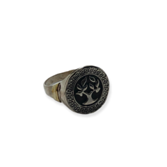 AV 348 Anillo Arbol de la Vida Plata y Oro - comprar online