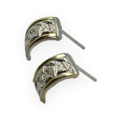ART 14-6 Aros Pasantes Plata y Oro - comprar online