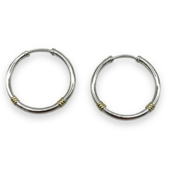 ART-150-0 Aros Argollas Infladas- Variedad de Medidas Plata y Oro - comprar online
