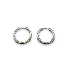 ART-150-0 Aros Argollas Infladas- Variedad de Medidas Plata y Oro - tienda online