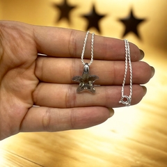 Promo 20: Estrella-Seleccionar Color(15mm) + Cadena(40 cm) "Edición Única"- Últimas Unidades Plata Italia - comprar online