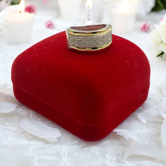 AG-599 Anillo Cubics Premium Plata y Oro (SIN ESTUCHE) - comprar online
