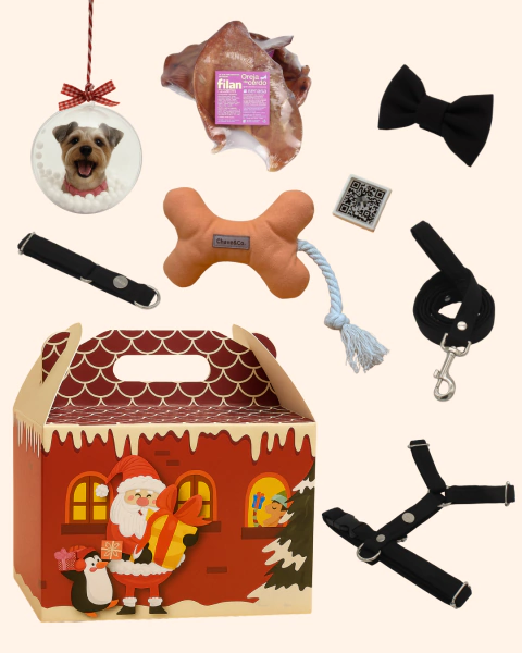 BOX Navideña Hades - PREMIUM - comprar online