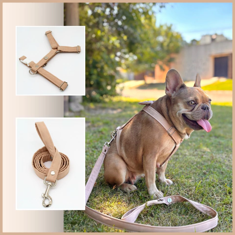 Combo Pretal y Correa Hera - comprar online