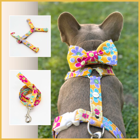 Combo Pretal y Correa Gaia - comprar online