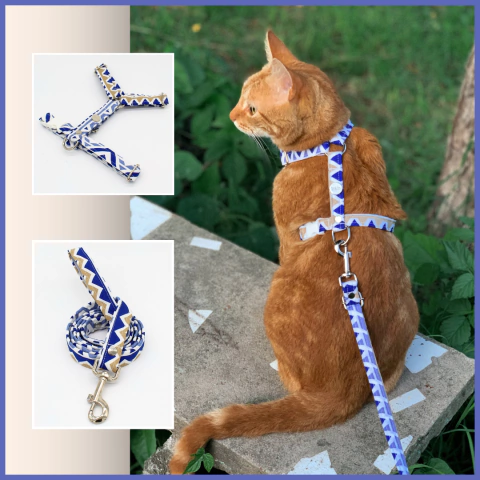 Combo Pretal y Correa Cadiz - comprar online