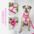 Combo Pretal y Correa Agatha - comprar online