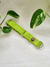Combo Pretal, Correa y Collar Tropical Green - tienda online