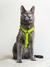 Imagen de Pretal Tropical Green