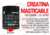 Imagen de la Creatina Masticable Gentech, comprimidos con creatina monohidrato. Mejora el rendimiento deportivo, aumenta la fuerza y favorece la recuperación muscular. Práctico formato masticable, sabor frutilla.
