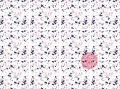 Az24 / 6 unidades - comprar online