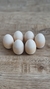 Huevitos de madera x6 - comprar online