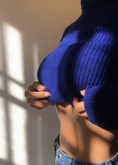 Polera Punto Elástico Essential High Neck (11 colores) - comprar online