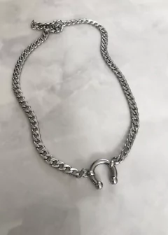 Bull Chain en internet