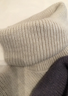 Imagen de Polera Punto Elástico Essential High Neck (11 colores)