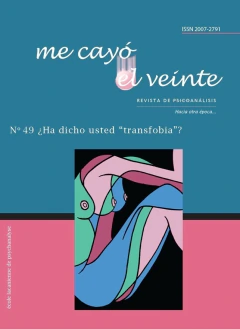 ME CAYO EL 20 N 49 HA DICHO USTED TRANSFOBIA + HISTORIAS ARR.REVISTA DE PSICOANALISIS