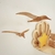 Escultura em Madeira | Dupla Gaivotas de Parede