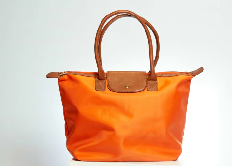Imagen de BOLSO TIPO LONGCHAMP (51M11687)