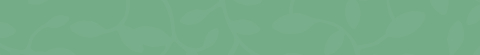 Banner de la categoría Light (con jugo de uva)