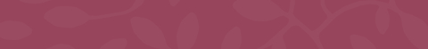 Banner de la categoría Tradicionales (con azúcar)