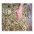 Red de Camuflaje 3 x 3 M - comprar online