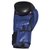 Imagen de Guantes Boxeo Kick Boxing 14 Oz Box