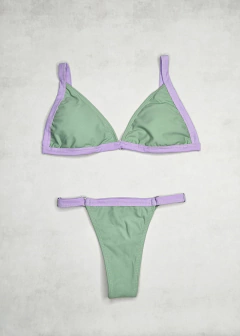 Bikini Arizona Bicolor en internet