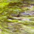 VERDE VICHE OPALESCENTE, 96X78CM X3MM, 79 - comprar en línea