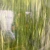 VERDE BLANCO OPAL, 96CM X 78CM X 3MM, 3319 - comprar en línea