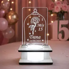 Souvenir Luminoso Rosa II