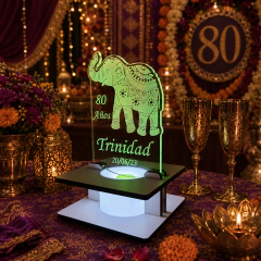 Souvenir Luminoso Elefante - comprar online