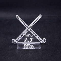 SOUVENIR PALOS HOCKEY PACK X 10 en internet