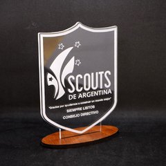 Trofeo acrilico en internet