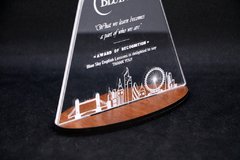Trofeo acrilico en internet