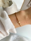 Pulsera Acero Rose (Cod P6143R)