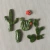 Cactus F&F en internet