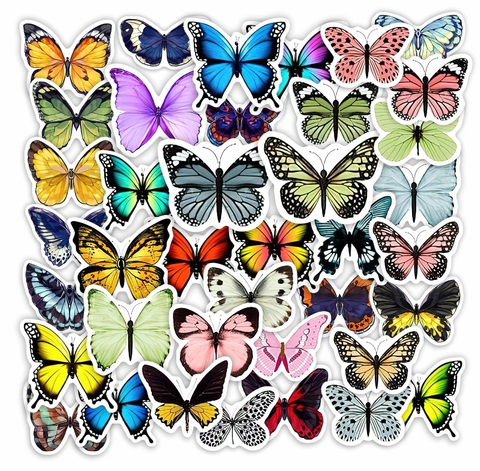 Pack Mariposas Mate