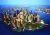 Rompecabezas Trefl 1000 Piezas New York