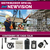 Handy Newvision NW-V8 - tienda online