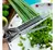 TIJERA DE COCINA MULTICORTE en internet