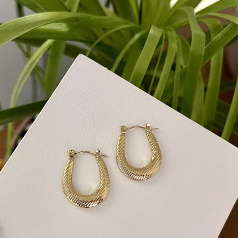 Brinco argola aço inoxidável- Ba0031